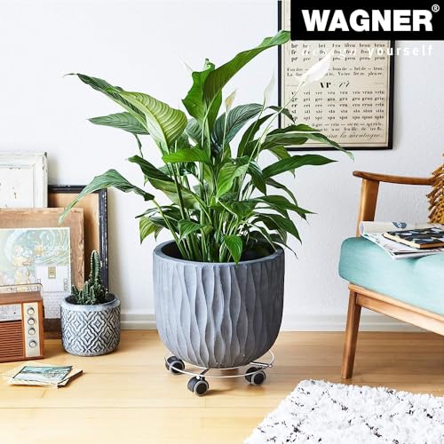 WAGNER Carrello per piante CHROMATO Ø 30 x 6,5 cm