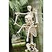 Crazy Bonez 3 FT Skeleton with Realistic Movable and Posable Joints for Halloween Indoor and Outdoor Decoration, 36