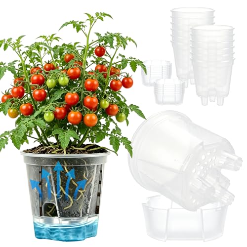 Cdd's Path 5 Inch Clear Self Watering Pots Set, 12 Pack Naked Root Planter with Deep Water Tank, Large Drainage Holes, Reservoir & Air Pipes for Indoor Outdoor Plants, Flowers, Seedlings