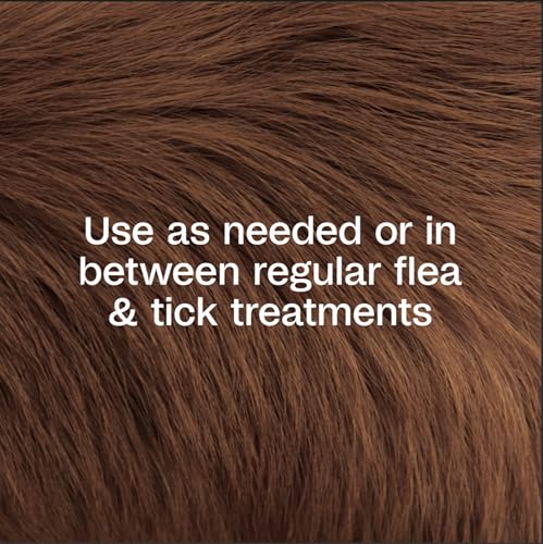 Image of ADAMS Botanicals Flea & Tick Pet & Home Spray, Flea and Tick Spray for Dogs, Cats, Puppies, & Kittens, Indoor Home Treatment, Kills on Pet Bedding and Furniture, 16 Ounces (Pack of 12)