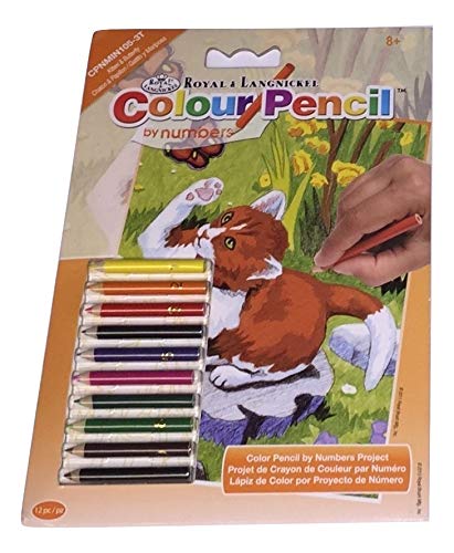 Royal & Langnickel Colour Pencil by Numbers ~ Kitten and Butterfly