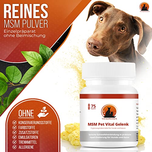 Vitalpfoten 75 MSM Pet Vital Gelenk Kapseln für Hunde und Katzen, hochreines Methylsulfonylmethan für Knochen, Knorpel, Bindegewebe