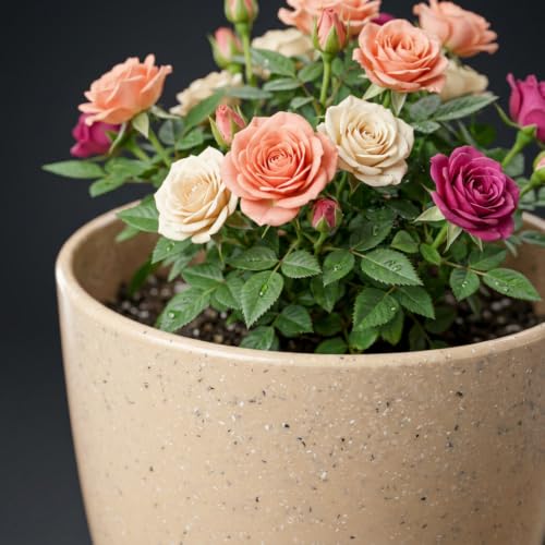 Image of YUCCABE ITALIA SHERA Stella 4 Inch Pack of 3 Piece Plastic Plant Pot for Home Decor Indoor Plant Pots for Living Room Plastic Flower Pot for Garden (Stone Beige, 10 INCH - 6 Pcs)