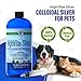 Colloidal Silver for Dogs & Cat Wound Care, Immune Support & Skin Solution - All Pet Health Care for Itch, Sores, Wounds, Hotspots & More with Syringe (32 oz)
