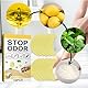 Shoe Deodorant Patches, Schuhe Deo-Aufkleber Deo-Aufkleber Anti-Fußgeruch Fußschweiß Fußpilz, frische Luft, loszuwerden Geruch, geeignet für Sport Turnschuhe stinkende Schuhe, 20pcs