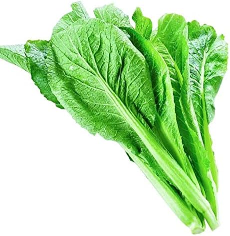 Miniatura 3 de Más de 400 semillas de color verde mostaza Florida Broadleaf Vegetal Seed GMO