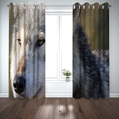 Tenda Oscurante Con Occhielli – 2 Pannelli 150x166 Cm – Tema Mondo Animale – Protegge Dal Sole Per Balconi, Camere E Finestre – Lavabile In Lavatrice - 3