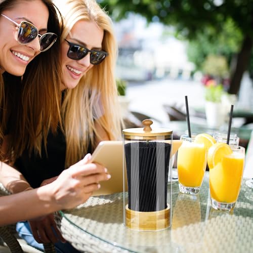 ALEXPRE Acrylic Straw Holder Dispenser for Counter,Straw Organizer with 200 Pack Black Plastic Straws and Bamboo Lid,Straw Container for Counter,Kitchen(6 in height)