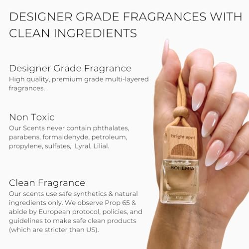Image of Car Air Freshener, Natural Hanging Diffuser, Non-Toxic Long-Lasting Fragrance for Auto and Home, Vegan and Pet Safe (Pack of 2, 0.2 Fl Oz, Surf Shack Coconut Sandalwood Cedar Santal)