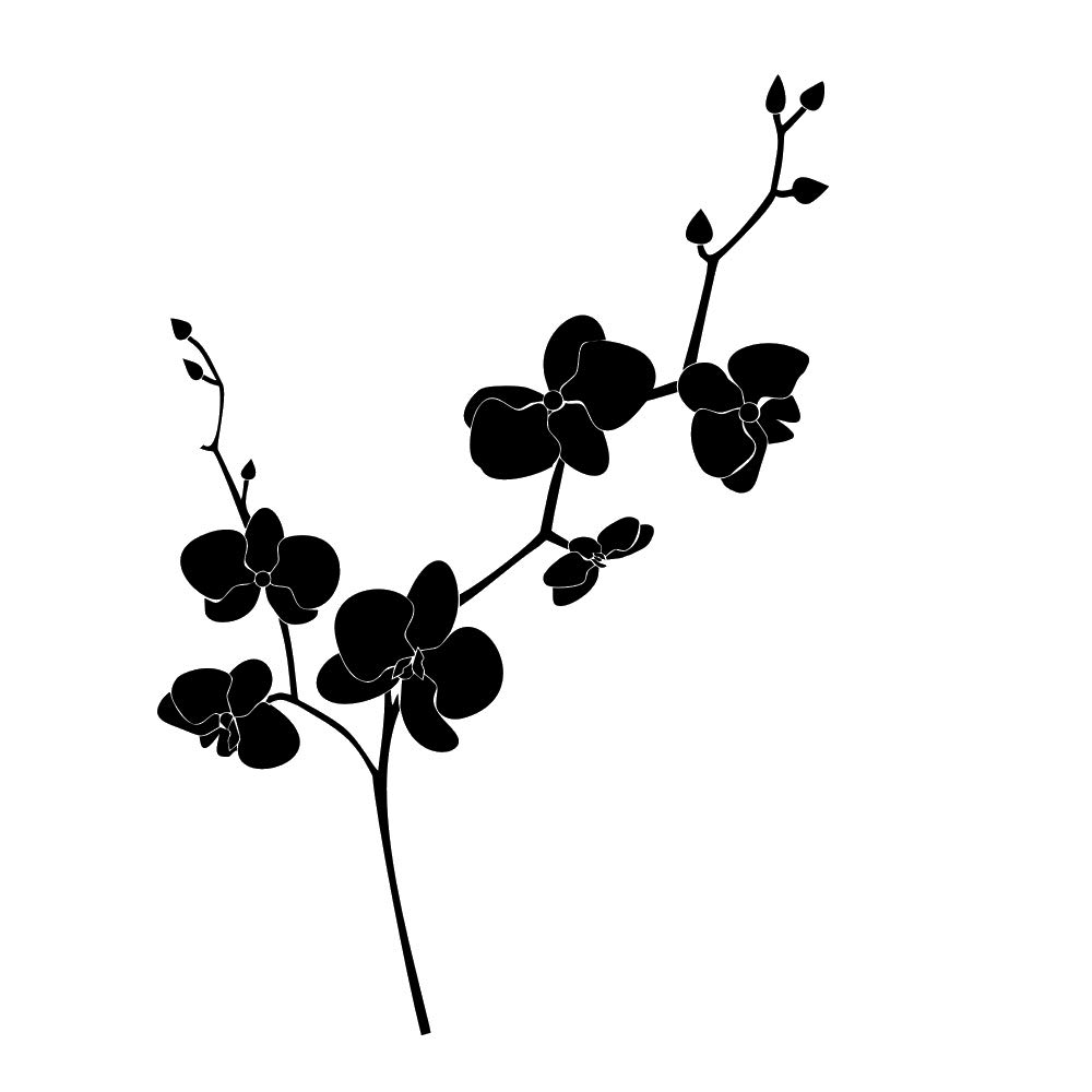 Orchid Reusable Stencil A3 A4 A5 & Bigger Sizes Shabby Chic Modern Style / F34 (PVC Reusable Stencil, A3 Size - 297 x 420 mm, 11.7 x 16.5 in)