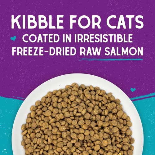 Stella & Chewy's Raw Coated Cat Food - High Protein, Grain-Free Kibble with Wild-Caught Salmon - Premium Digestive Support with Probiotics - Natural Small Kibble - Perfect for Picky Eater - 10 lb Bag - image 5