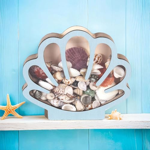 Boîte de collection de coquillages en bois pour un centre de table - 4