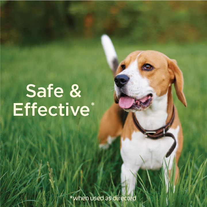 Miniatura 4 de Spray para patio y perrera para pulgas y garrapatas, alimentado por plantas, elimina pulgas, huevos de pulgas, larvas de pulgas, garrapatas y