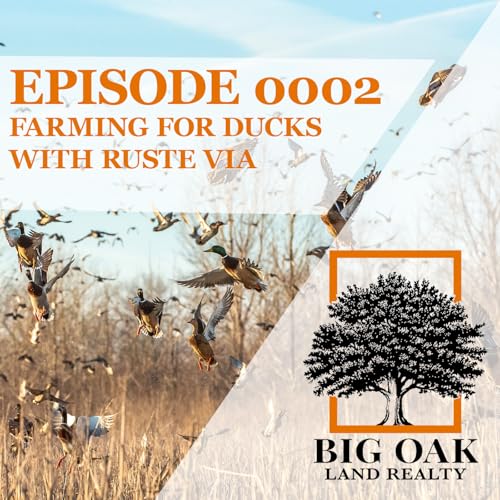 0002: Farming for ducks with Ruste Via of Island34