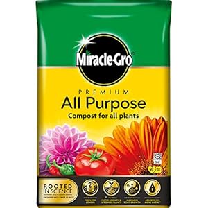 Miracle-Gro 119761 All Purpose Compost – 40 Litre BAG, Yellow, Earth