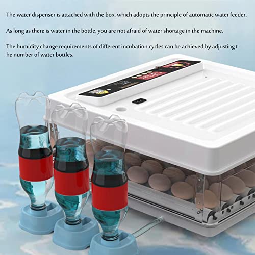 AJLDN Brutmaschine Vollautomatisch Hühner 24 Eier Brutgerät, Eier Inkubator mit automatischem Eierwender, Feuchtigkeits… – Bild 8