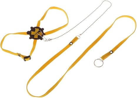 turtle leash amazon