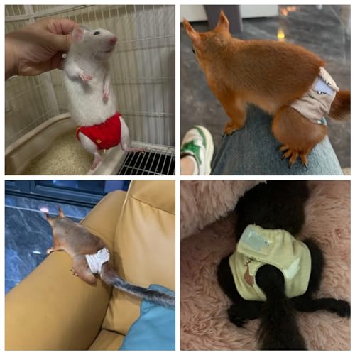 Image of Squirrel Diapers-Highly Absorbent with Strong & Flexible Hook and Loop Pants No Leak Reusable Diapers Urine Wet Pants for Squirrel,Fancy Rat,Groundhog (3pc, M)