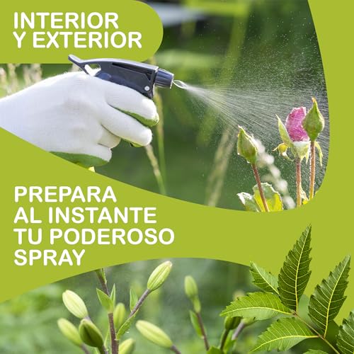 +300 Plagas Plantas, Aceite de Neem, Huerto Saludable, Agricultura Eccologica, Anti Pulgones, Cochinillas, Piel y Cabello, Previene Infecciones, Cuidado de Mascotas, Anti Mosquitos, Repelente 500 ml - imagen 10
