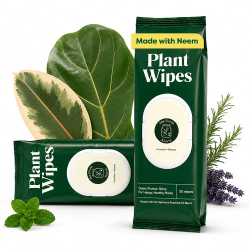 The Green Alcove Plant Leaf Cleaner & Leaf Shine Plant Cleaner | 2 Pack of 50 (Total 100 Count)