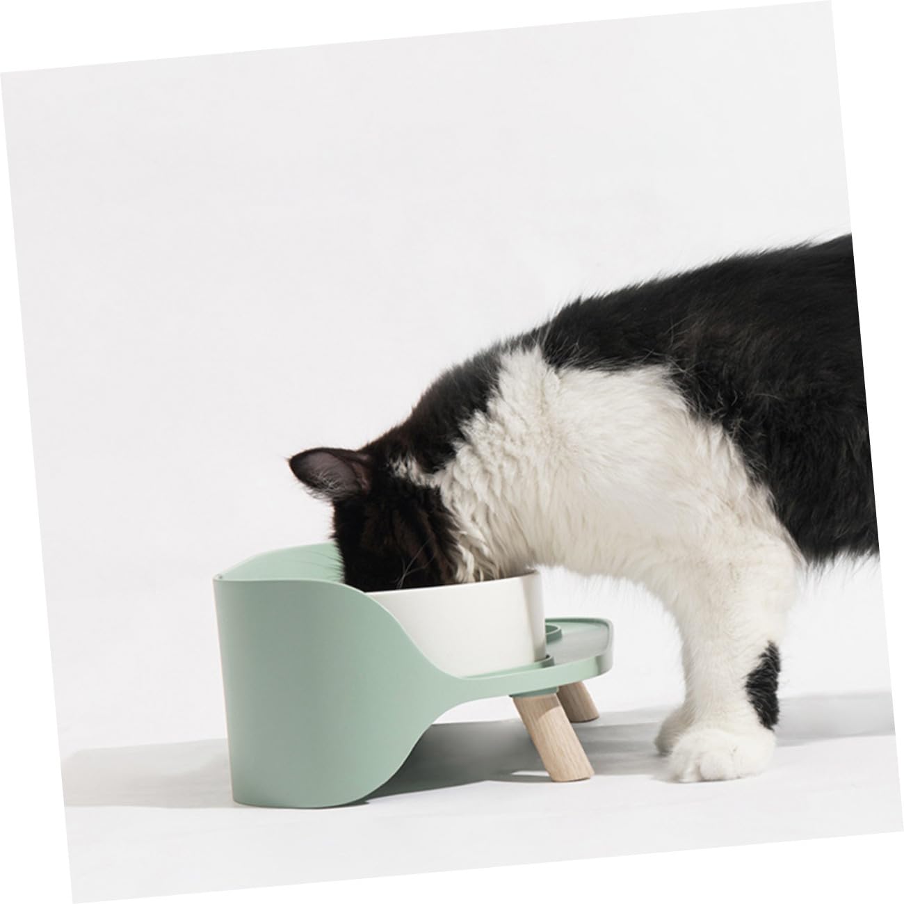 Toddmomy 1pieza Comedero De Cerámica para Gatos Altura Doble Tazón Antivuelco Color Verde Menta para Alimentación Segura y Cómoda De Mascotas