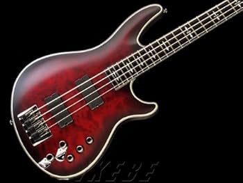 Amazon | SCHECTER HELLRAISER EXTREME 4 【AD-HR-EX-BASS-4