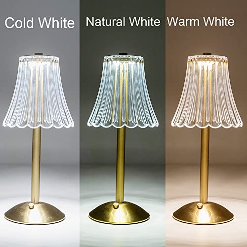 Gold Cordless LED Table Lamps: 12'' Rechargeable, USB-Charge, Indoor/Outdoor Use with Dimmer