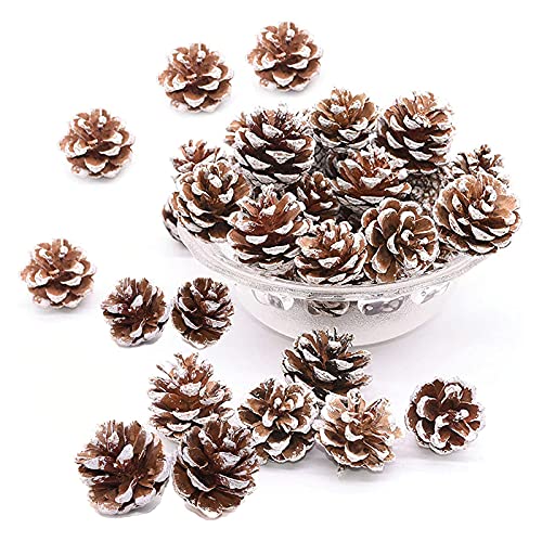 48 Stück Weihnachten Tannenzapfen Dekoration Natürliche Tannenzapfen Natürliche Anzapfen mit Schnur Kiefernzapfen Tannenzapfen mit Schnur Ornamente für Weihnachten Party Hängende Dekoration (Weiß) Cover