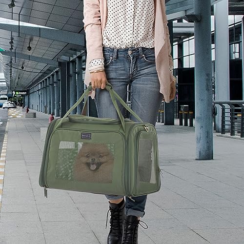 Petsfit Transportbox Katze Hund faltbar Transporttasche Hundetasche für Katzen Hunde, Hochwertige Tragetasche Hund Katze mit Schultergurt und weiches expandierbare Kissen,groß