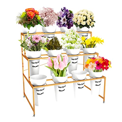 Support mobile pour plantes à roulettes avec chariot métallique robuste à 3 niveaux