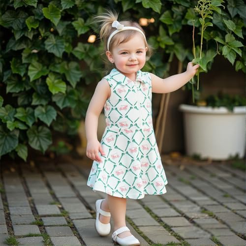 Toddler Baby Girl Golf Outfit Zip Collared Sleeveless Golf Cart Print Polo Tank Dress Infant Summer Birthday Dress3