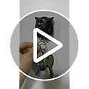 3PCS-Owl-Key-Holder-Cute-Owl-Key-Holder-Automatic-Open-Close-Eyes-Magnetic-Night-Owl-Keying-Holder-Wall-Mounted-Owl-Key-Hooks-with-Wall-Self-Adhesive-Tape