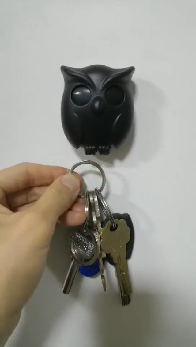Amazon.com: Hallocool 3PCS Owl Key Holder Cute Owl Key Holder