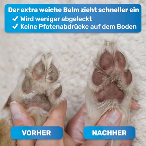 BluePet Pfotenbalsam Hund 50ml – Pfotenpflege Hund gegen trockene & rissige Pfoten und Nase – Natürlicher Schutz & Pflegebalsam für Hunde