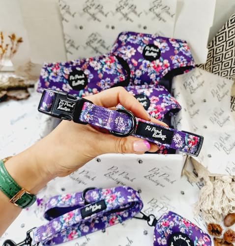 Collar de Perro Vaquera púrpura M