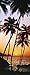 Produktbild 1art1 40535 Sonnenuntergänge - Palmen Im Abendrot Fototapete Poster-Tapete (200 x 86 cm)