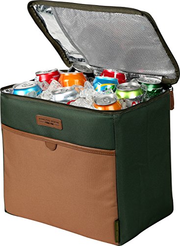 Arctic Zone Trunk Organizer with 35 Can Cooler Insert, Green
