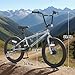 SPATIAL BMX Bike, Freestyle Race Bike Trident Bicycles Beginner for Teen Beginner and Adult Riders, Bike with Hi-Ten Steel Frame (Silver)