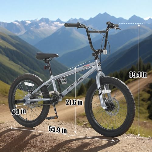 SPATIAL BMX Bike, Freestyle Race Bike Trident Bicycles
