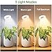 LBW Grow Light for Indoor Plants, Full Spectrum Plant Light with Base, Height Adjustable Plant Growing Lamp with Auto On/Off Timer 6/8/12/16H, 3 Colors,5 Dimmable Brightness, for Small Plants, White