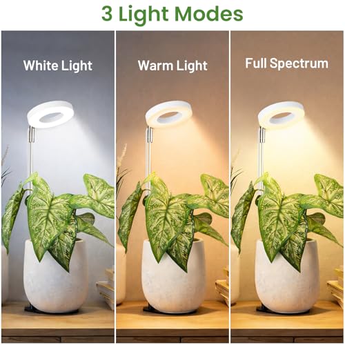 Image of LBW Grow Light for Indoor Plants, Height Adjustable Plant Grow Lamp with Auto On /Off Timer 6 /8 /12 /16H, 3 Colors,5 Dimmable Brightness, for Small Plants, White, 2 Packs