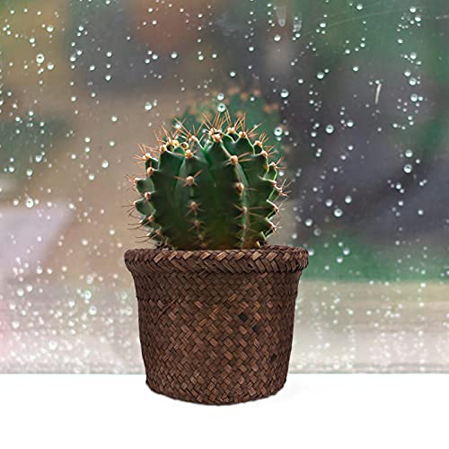 Nuobesty Round Seagrass Planter Basket Woven Flower Pots Cover Plant Pots Containers Wicker Plant Pot Basket Desktop Sundries Container Basket For Indoor Outdoors 18X14Cm #TOP6