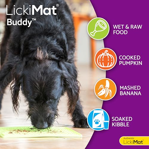 LICKIMAT Buddy - in 2 Größe und div. Farben, Farbe:lila, Größe:small - 20 x 20cm