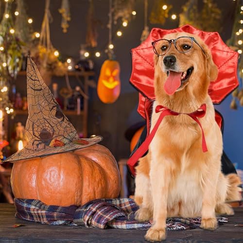 Disfraz de vampiro para perros grandes Halloween miniatura 6