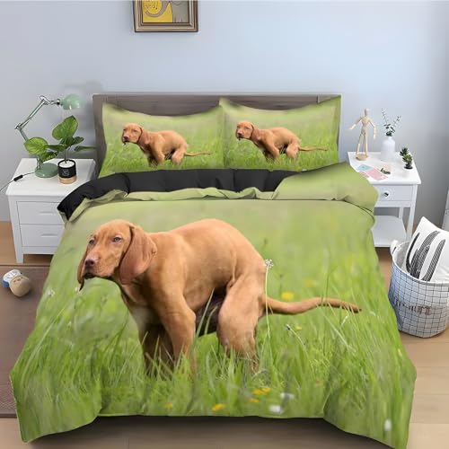 Housse de couette 240 x 260 en microfibre douce avec fermeture éclair