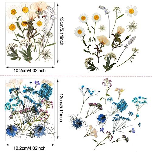 image for Nuanchu Pressed Flowers Resin Flowers for Resin Mold, Real Daisy Dried