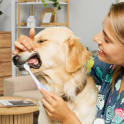 POPETPOP Elektrische Zahnbürste Für Haustiere Ultraschall Haustierzahnpflege Leicht Tragbar Sanft Zu Zähnen Und Zahnfleisch Für Hunde Und Katzen 7.48 Zoll