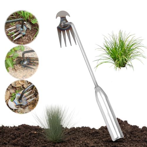 2024 New Weeding Artifact Uprooting Weeding Tool, 4 Teeth Dual Purpose Hand Weed Puller Tool with Long Handle, Manganese Steel Forged (30 cm, Sliver)