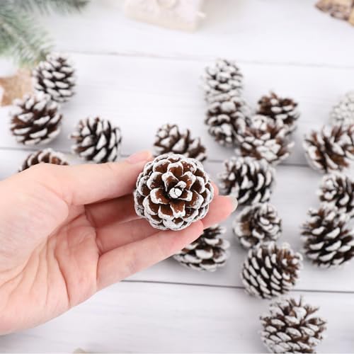 ENLACE 30 Stück Tannenzapfen, ca. 2-3cm, Klein Weihnachten Tannenzapfen mit Weißer Anstrich, Natur Kiefernzapfen Deko für Weihnachtsdeko DIY Handwerk Weihnachtsbaum Herbst Winter Dekoration – Bild 3