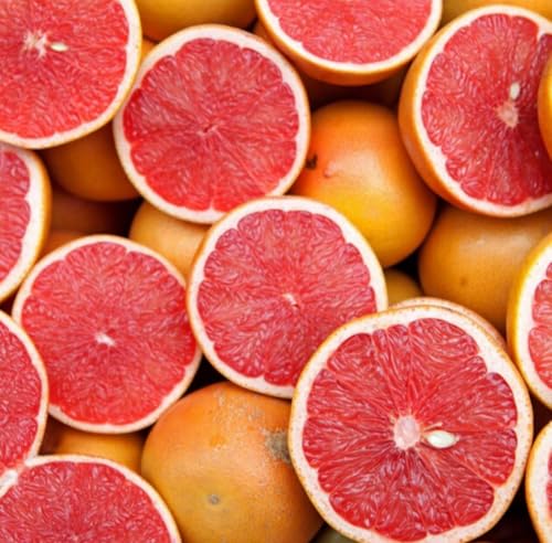 Aceite Esencial de Pomelo Rosa Orgánico 5 mL miniatura 4
